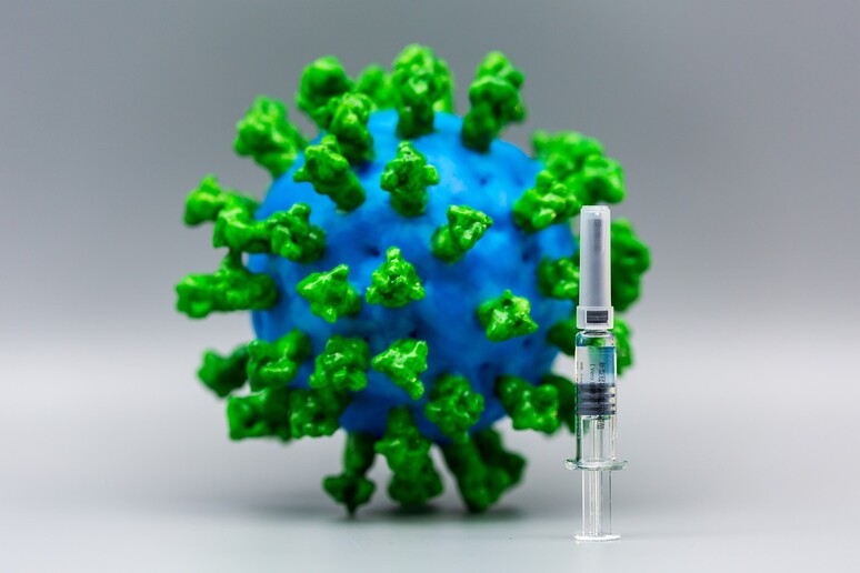 Uno studio sui macachi svela le doti del vaccino vincente (fonte: Pixabay) - RIPRODUZIONE RISERVATA