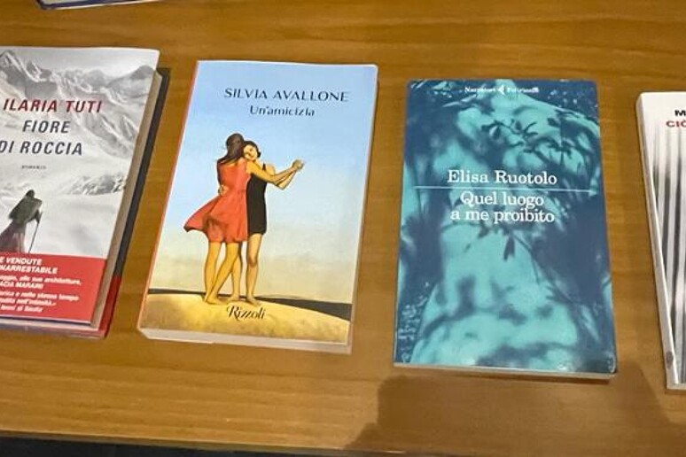 Premio Donna scrittrice a Ilaria Tuti per  'Fiore di roccia ' - RIPRODUZIONE RISERVATA