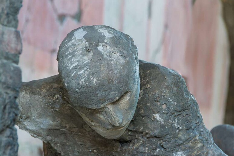 Una delle vittime dell 'eruzione del Vesuvio a Pompei (fonte: Picryl) - RIPRODUZIONE RISERVATA