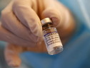 Vaccino anti-Covid (ANSA)