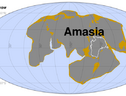 La possibile conformazione del supercontinente Amasia fra 280 milioni di anni (fonte: Curtin University) (ANSA)