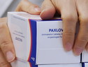 Confezioni di Paxlovid (ANSA)