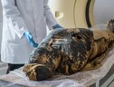La mummia egizia incinta 'Mysterious Lady' sottoposta alla Tac (fonte: (Aleksander Leydo/Warsaw Mummy Project) (ANSA)