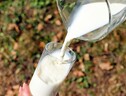 Le cause della diffusione della tolleranza al lattosio non si trovano nel fatto che permise di consumare questi prodotti in maggiori quantità, come si era sempre ritenuto finora, ma nella diffusione di malattie infettive e carestie (free via pixabay) (ANSA)