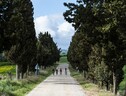 Torna L'Eroica, 9.000 ciclisti da tutto il mondo in Toscana (ANSA)