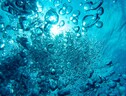 Svelato il meccanismo di risalita a zig zag delle bolle d’aria in acqua (fonte: Max Elman, Flickr) (ANSA)