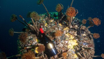 Il vino dell'Etna dal vulcano alle profondità del mare (ANSA)