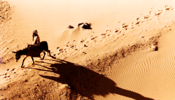 Un uomo in sella ad un asino nel deserto del Sudan (fonte: © André Vila) (ANSA)