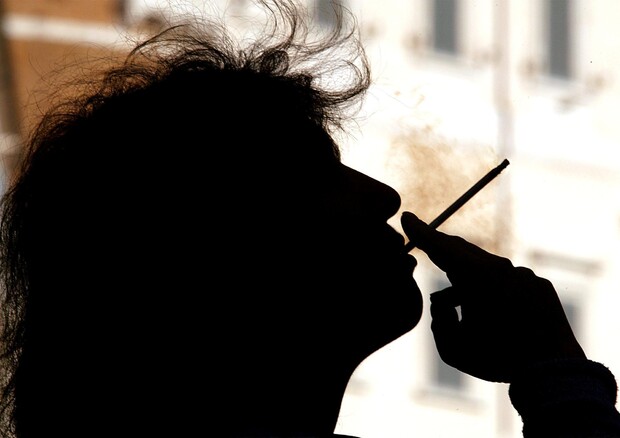Tumori: età e fumo i fattori di rischio più importanti © ANSA