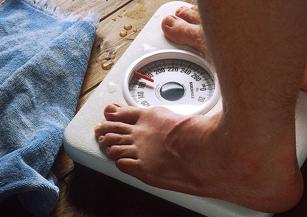 Nei piedi 'l'ago della bilancia' del peso corporeo (fonte: Bill Branson, National Cancer Institute) © Ansa