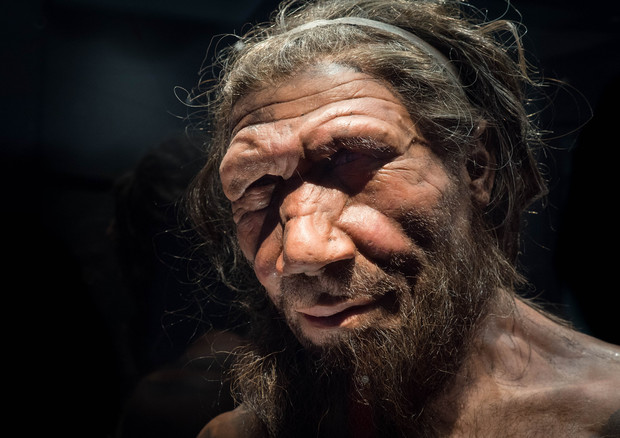 Rappresentazione artistica di un uomo di neanderthal (fonte: Michael Brace) © Ansa