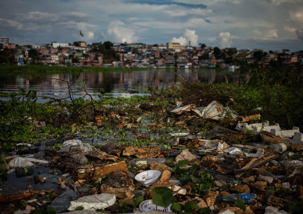 Brazil celebrates World Environment Day © EPA