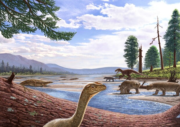 Ricostruzione artistica del più antico dinosauro africano, Mbiresaurus raathi (fonte: A. Atuchin) © Ansa