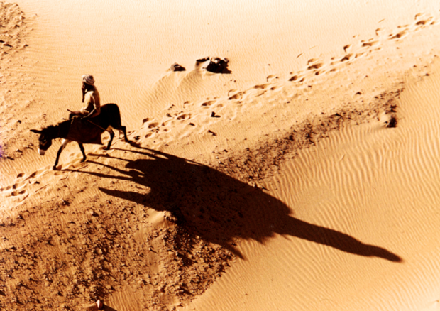 Un uomo in sella ad un asino nel deserto del Sudan (fonte: © André Vila) © Ansa