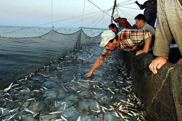 Pescatori del Mediterraneo
