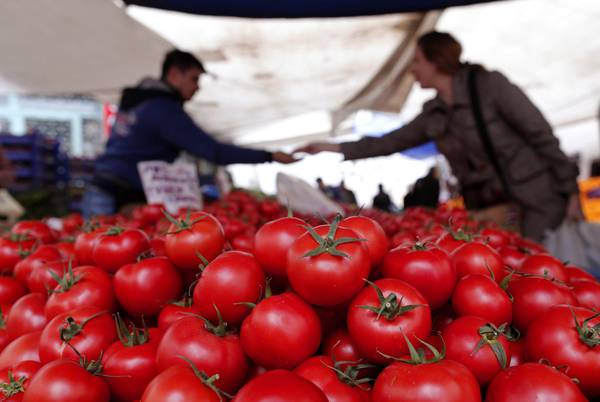Tomato prices have plunged in Jordan following the shutdown of traditional markets like Syria and Iraq due to the ongoing wars