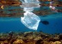 Procida 2022: tre fotografi raccontano l'inquinamento marino