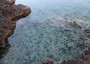 Il riccio di mare, spia per pesca sostenibile Mediterraneo