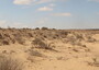 Da Sahara tunisino strumenti e tecnologie di 300mila anni fa