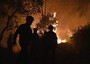 Incendi: il Portogallo prolunga lo stato d'emergenza