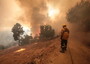 Portugal: fires-equivalent of 58,000 soccer fields destroyed