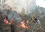 In Libano gli incendi minacciano la foresta dei Cedri