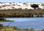 Largest lake in Spain's Donana wetlands shrivels up