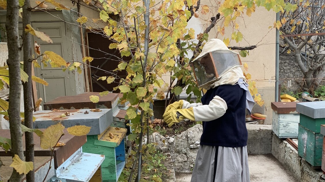 Una monaca di Santa Rita da Cascia con le api