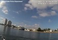 Miami, agente di polizia salva delfino (ANSA)