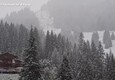 Maltempo, neve in Trentino: sopra i 2.000 metri caduti oltre 20 cm © ANSA