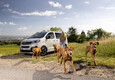 Opel Zafira-e Life, salotto elettrico anche con 'Fido' (ANSA)