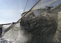 L'Eurocamera chiede interventi a sostegno dei pescatori locali (ANSA)