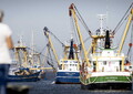 Corte Conti Ue, Italia prima per la pesca illegale (ANSA)