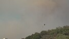 Incendio in Versilia, oltre 500 ettari di bosco in fumo sulle colline di Massarosa (ANSA)