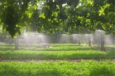 Ok Consiglio Ue a regole per riuso acque in agricoltura (ANSA)
