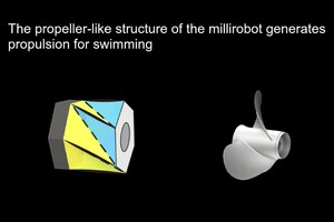 Il millirobot anfibio. La struttura. (Fonte: Zhao Lab) (ANSA)