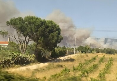 Incendi: fiamme nell'Oristanese (ANSA)