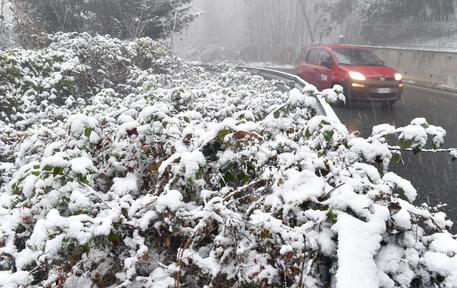 Maltempo: arriva la neve in Piemonte,imbiancata anche Torino © ANSA