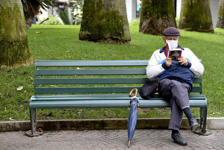 Un anziano legge un libro su una panchina © ANSA