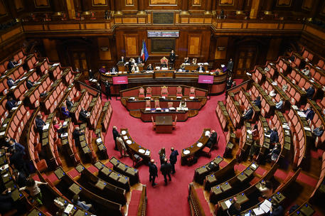 L'Aula del Senato in una foto di archivio © ANSA