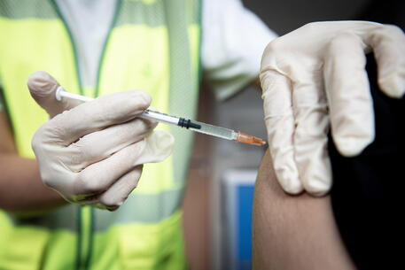 ++ Vaiolo Scimmie: da luned? vaccinazioni allo Spallanzani ++ © EPA