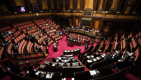 L'Aula del Senato in una foto di archivio (ANSA)