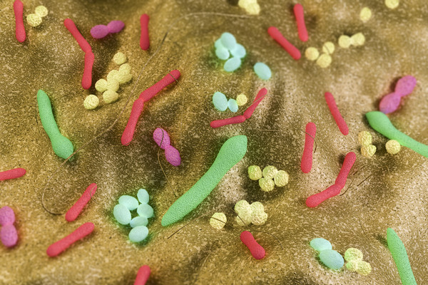  'Super mappa' batteri intestino per curare malattie bimbi 