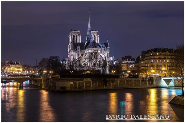 Foto dei lettori, Notre Dame: Dario Dalessano Pont Saint Louis 16/02/2017