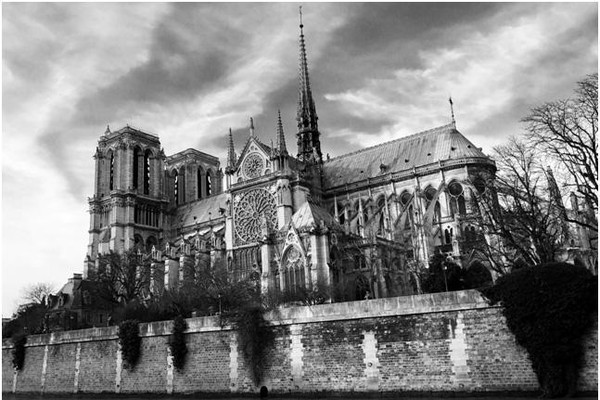 Foto dei lettori, Notre Dame: MATTEO FIORIO, marzo 2017