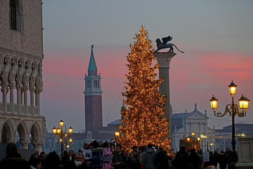Venice: Christmas tree - ALL RIGHTS RESERVED