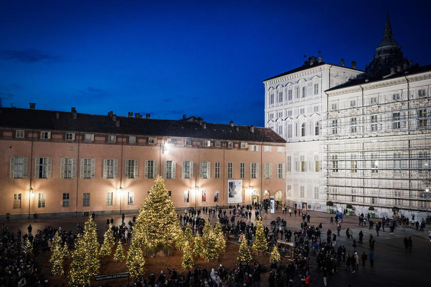 Natale: luci a migliaia, Torino accende il bosco - ALL RIGHTS RESERVED