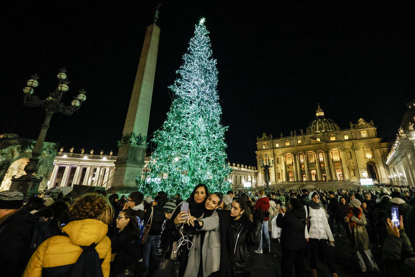 Nativity Scene and Christmas Tree in St Peter 's Square - ALL RIGHTS RESERVED