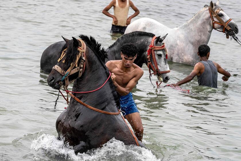 Cavalieri della Fantasia cavalcano nell 'oceano Atlantico © ANSA/AFP