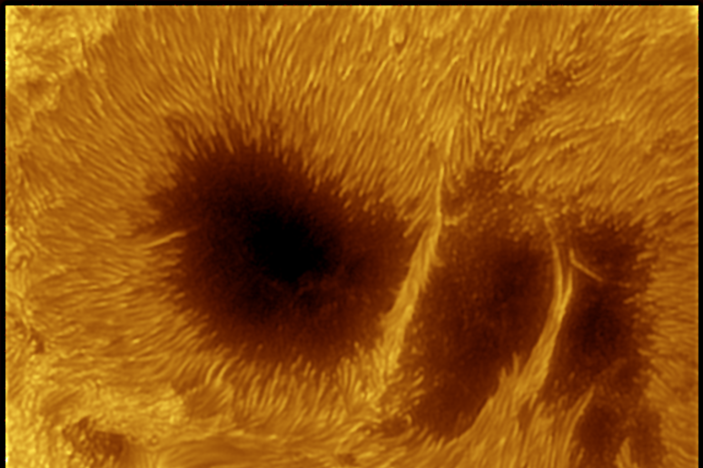La macchia solare AR2192 (fonte: Alessandro Bianconi, Dolianova, CA) - RIPRODUZIONE RISERVATA